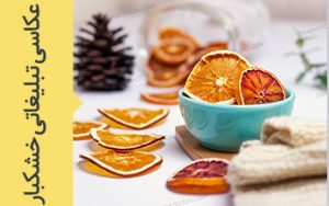 آژانس هنری تبلیغاتی گرافتوگالری