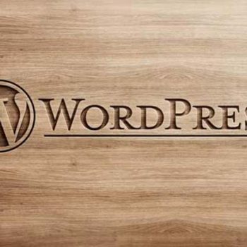 چگونه میتوان ویژگی های جدید به سایت وردپرسی اضافه کرد؟